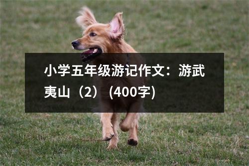 小學(xué)五年級(jí)游記作文：游武夷山（2） (400字)