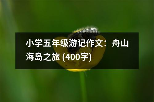小學(xué)五年級(jí)游記作文：舟山海島之旅 (400字)