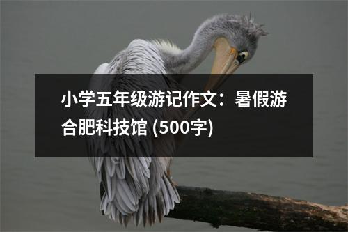 小學(xué)五年級(jí)游記作文：暑假游合肥科技館 (500字)