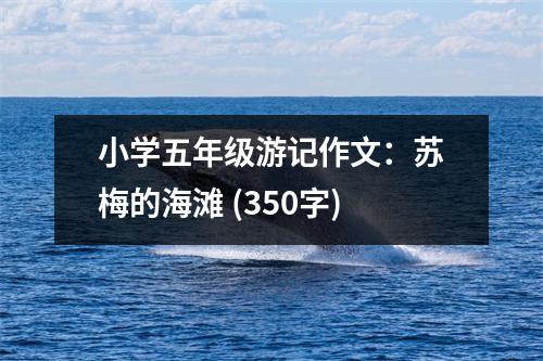 小學(xué)五年級游記作文：蘇梅的海灘 (350字)