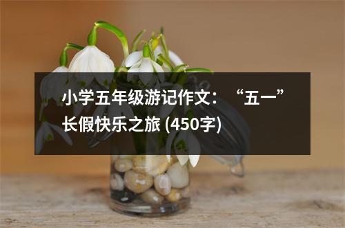小學(xué)五年級(jí)游記作文：“五一”長(zhǎng)假快樂(lè)之旅 (450字)