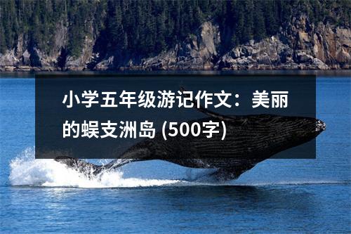 小學(xué)五年級游記作文：美麗的蜈支洲島 (500字)