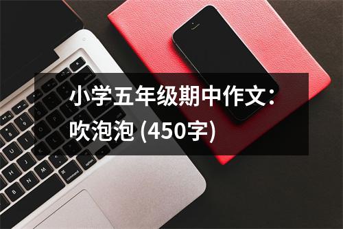 小學(xué)五年級(jí)期中作文：吹泡泡 (450字)