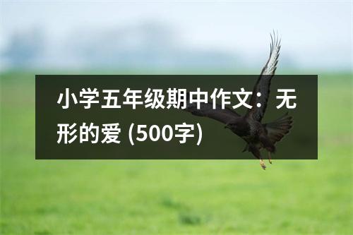 小學(xué)五年級(jí)期中作文：無形的愛 (500字)