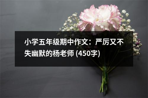 小學(xué)五年級期中作文：嚴(yán)厲又不失幽默的楊老師 (450字)