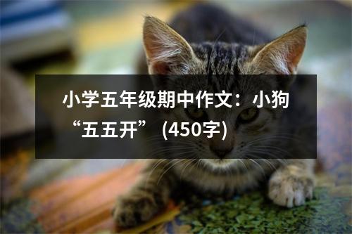 小學(xué)五年級期中作文：小狗“五五開” (450字)