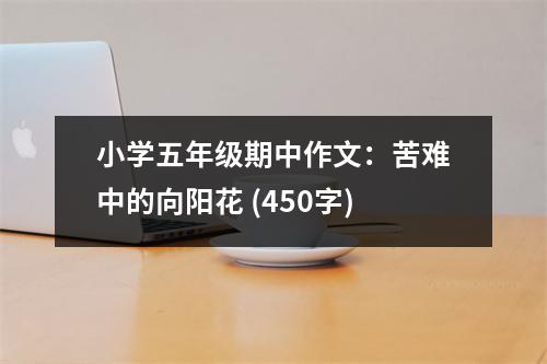 小學五年級期中作文：苦難中的向陽花 (450字)