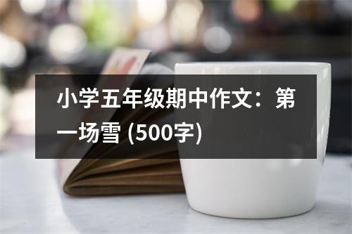 小學五年級期中作文：第一場雪 (500字)