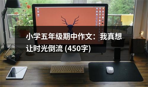 小學五年級期中作文：我真想讓時光倒流 (450字)