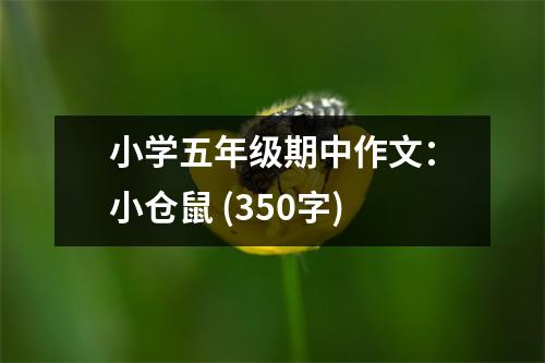 小學(xué)五年級期中作文：小倉鼠 (350字)