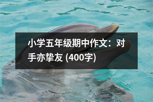小學五年級期中作文：對手亦摯友 (400字)