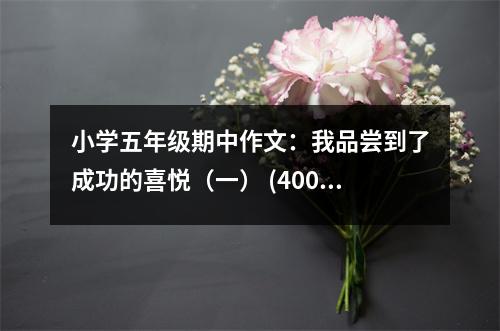 小學五年級期中作文：我品嘗到了成功的喜悅（一） (400字)