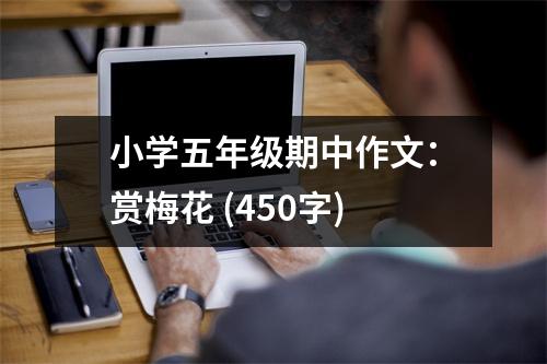 小學(xué)五年級(jí)期中作文：賞梅花 (450字)