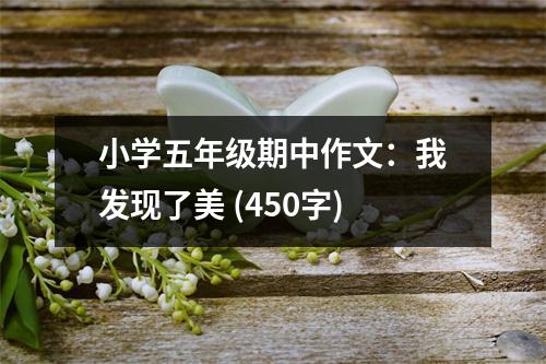 小學(xué)五年級(jí)期中作文：我發(fā)現(xiàn)了美 (450字)