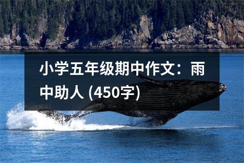 小學(xué)五年級(jí)期中作文：雨中助人 (450字)