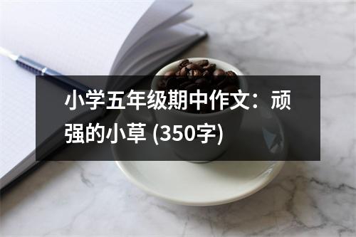 小學(xué)五年級(jí)期中作文：頑強(qiáng)的小草 (350字)