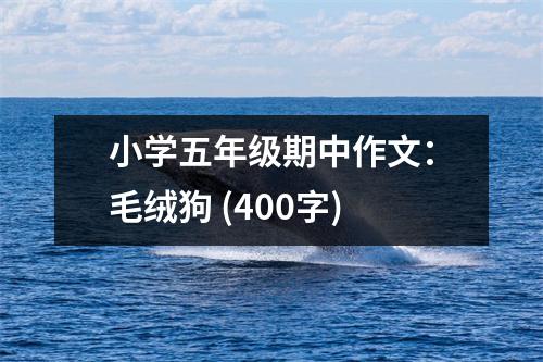 小學(xué)五年級(jí)期中作文：毛絨狗 (400字)