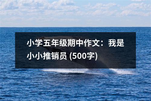 小學(xué)五年級(jí)期中作文：我是小小推銷員 (500字)