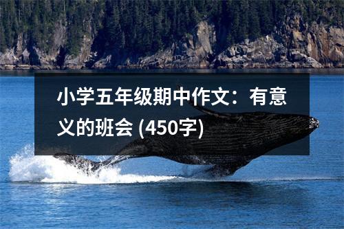小學(xué)五年級(jí)期中作文：有意義的班會(huì) (450字)