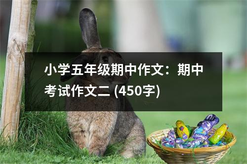 小學(xué)五年級(jí)期中作文：期中考試作文二 (450字)