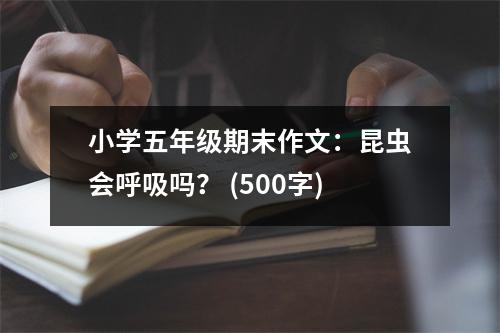 小學五年級期末作文：昆蟲會呼吸嗎？ (500字)