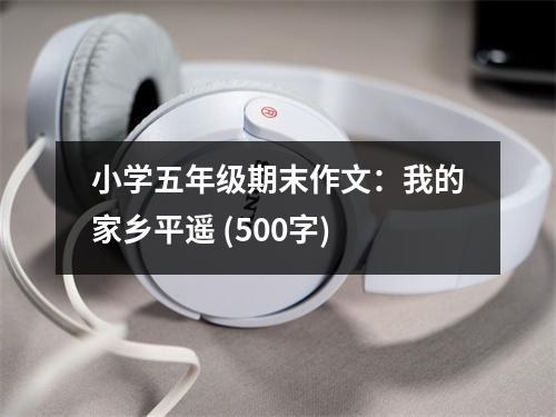 小學(xué)五年級期末作文：我的家鄉(xiāng)平遙 (500字)