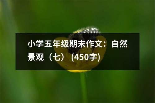 小學(xué)五年級期末作文：自然景觀（七） (450字)