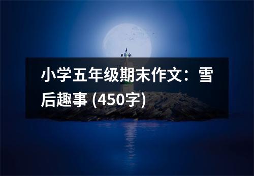 小學(xué)五年級期末作文：雪后趣事 (450字)