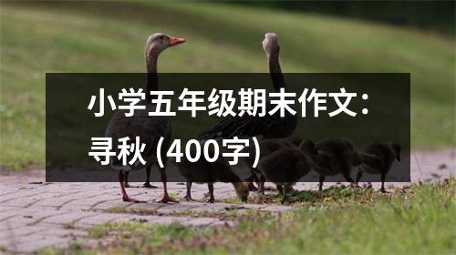 小學(xué)五年級期末作文：尋秋 (400字)