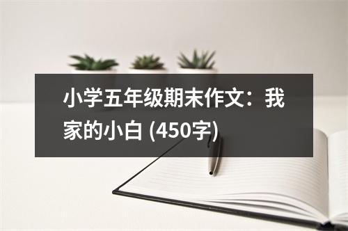 小學(xué)五年級期末作文：我家的小白 (450字)