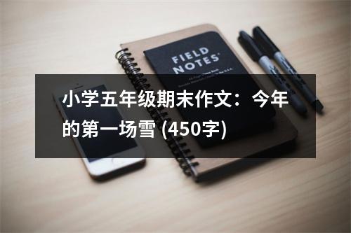 小學(xué)五年級(jí)期末作文：今年的第一場(chǎng)雪 (450字)