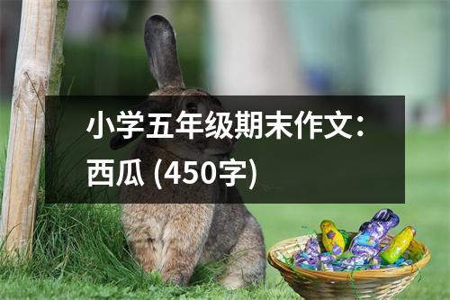小學(xué)五年級期末作文：西瓜 (450字)