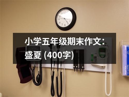 小學(xué)五年級期末作文：盛夏 (400字)