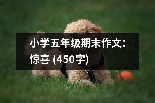 小學五年級期末作文：驚喜 (450字)