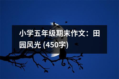 小學(xué)五年級(jí)期末作文：田園風(fēng)光 (450字)
