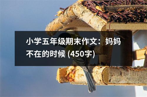 小學(xué)五年級(jí)期末作文：媽媽不在的時(shí)候 (450字)