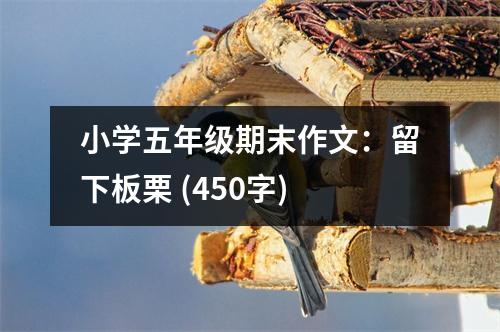 小學(xué)五年級(jí)期末作文：留下板栗 (450字)
