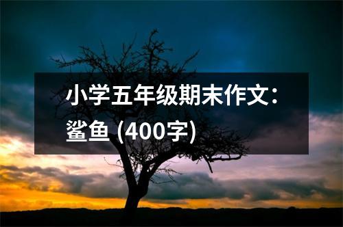 小學(xué)五年級(jí)期末作文：鯊魚 (400字)