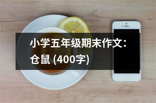 小學(xué)五年級(jí)期末作文：倉(cāng)鼠 (400字)