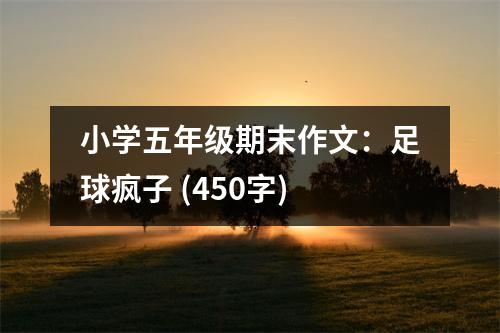 小學(xué)五年級期末作文：足球瘋子 (450字)