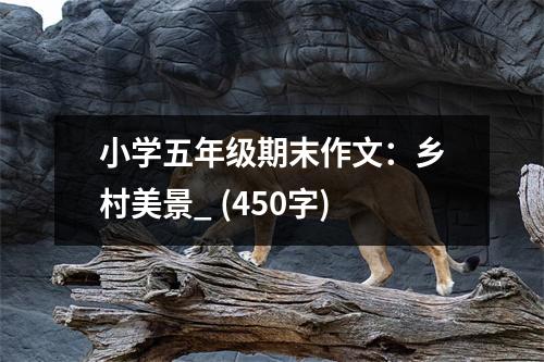 小學(xué)五年級期末作文：鄉(xiāng)村美景_ (450字)