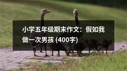 小學(xué)五年級期末作文：假如我做一次男孩 (400字)