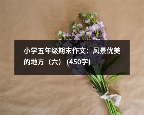 小學(xué)五年級期末作文：風(fēng)景優(yōu)美的地方（六） (450字)