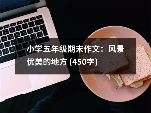 小學(xué)五年級(jí)期末作文：風(fēng)景優(yōu)美的地方 (450字)