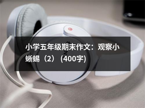 小學(xué)五年級(jí)期末作文：觀察小蜥蜴（2） (400字)