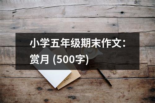 小學(xué)五年級(jí)期末作文：賞月 (500字)
