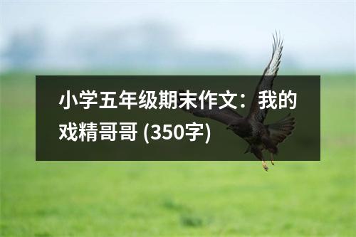小學(xué)五年級(jí)期末作文：我的戲精哥哥 (350字)