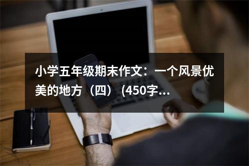 小學(xué)五年級(jí)期末作文：一個(gè)風(fēng)景優(yōu)美的地方（四） (450字)
