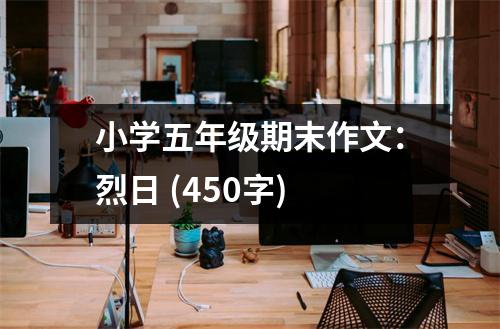 小學(xué)五年級(jí)期末作文：烈日 (450字)