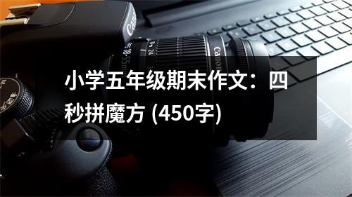 小學(xué)五年級(jí)期末作文：四秒拼魔方 (450字)